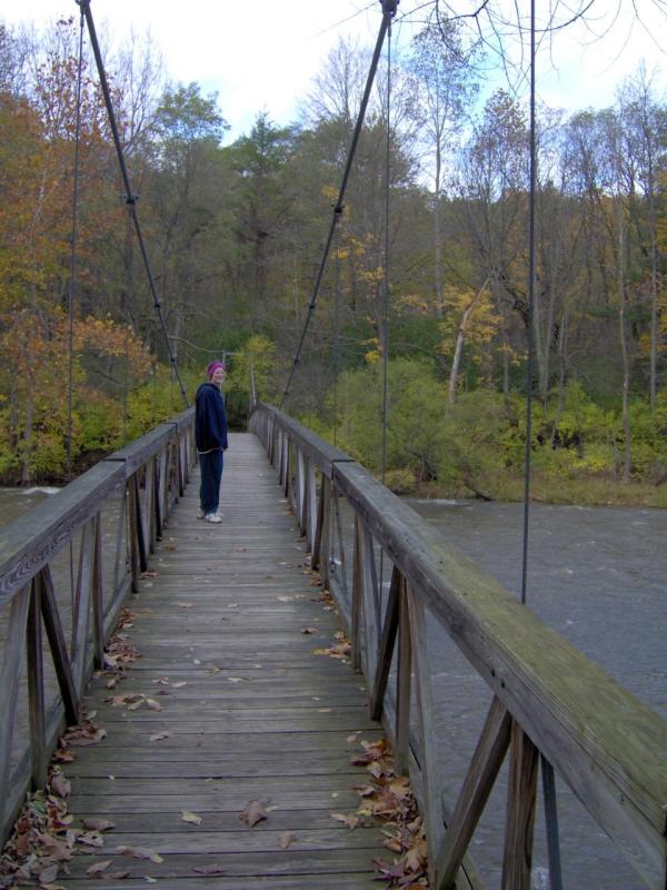 Rifle Suspension Bridge